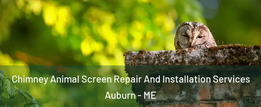  Chimney Animal Screen Repair And Installation Services Auburn - ME