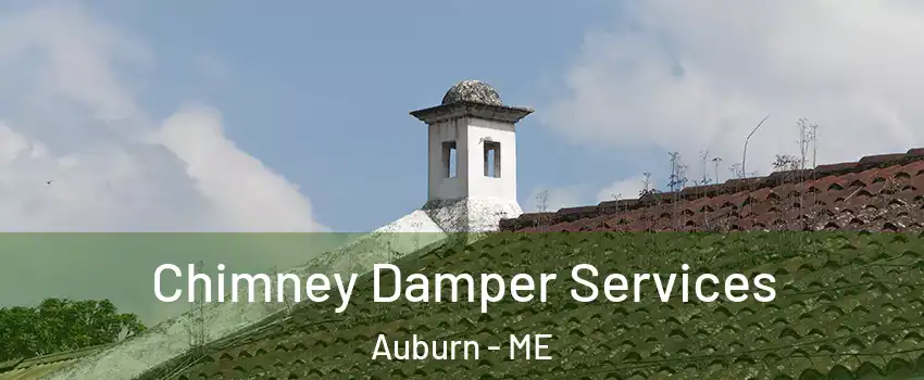  Chimney Damper Services Auburn - ME