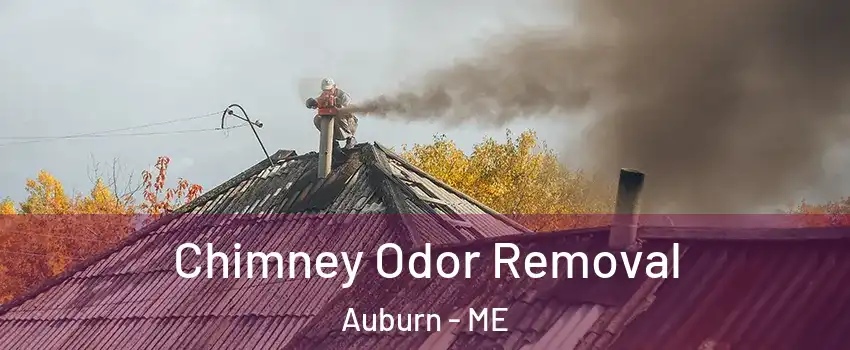  Chimney Odor Removal Auburn - ME