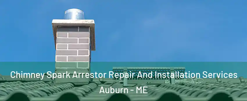  Chimney Spark Arrestor Repair And Installation Services Auburn - ME