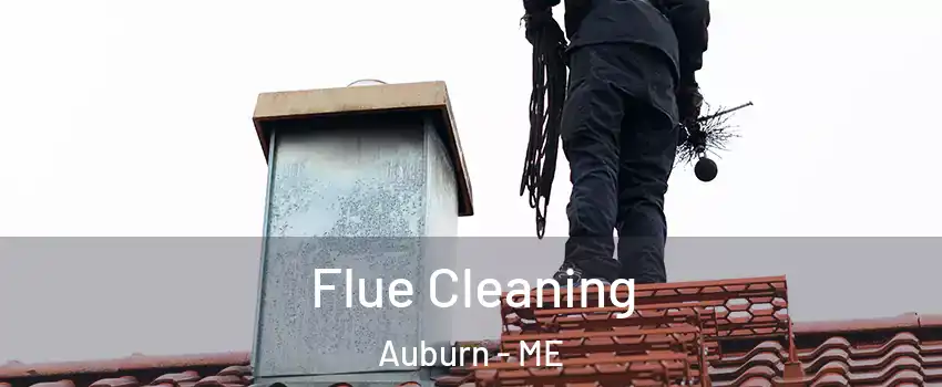  Flue Cleaning Auburn - ME