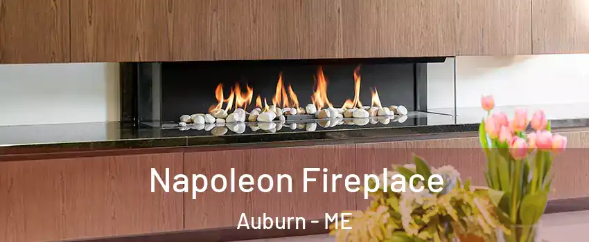  Napoleon Fireplace Auburn - ME